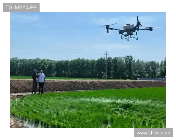 无人机在精细化农业中的作物估产